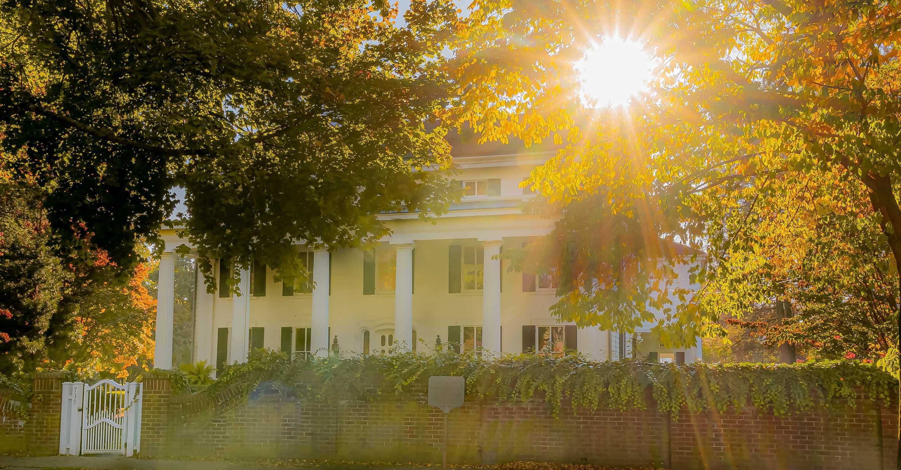 DTZ_0489-HDR-Edit - Copy - Copy - Copy - Copy - Copy