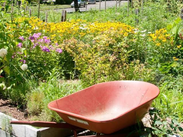 Drew Park Community Garden